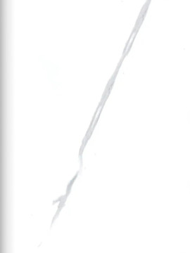 Стінова композитна бамбукова панель WPP Р137 2800х1220х7мм